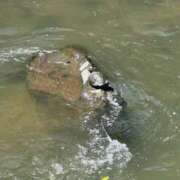 ヒメ日記 2025/06/29 14:53 投稿 あん☆期待度120％清楚系美少女 Ribbon 1st