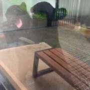 ヒメ日記 2025/07/06 19:50 投稿 あん☆期待度120％清楚系美少女 Ribbon 1st