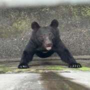 ヒメ日記 2025/07/10 01:03 投稿 あん☆期待度120％清楚系美少女 Ribbon 1st