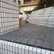 ヒメ日記 2025/07/26 12:05 投稿 あん☆期待度120％清楚系美少女 Ribbon 1st