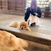 ヒメ日記 2025/07/27 10:03 投稿 あん☆期待度120％清楚系美少女 Ribbon 1st