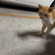 ヒメ日記 2025/08/04 12:04 投稿 あん☆期待度120％清楚系美少女 Ribbon 1st