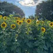 ヒメ日記 2025/08/07 20:04 投稿 あん☆期待度120％清楚系美少女 Ribbon 1st