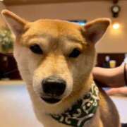 ヒメ日記 2025/08/18 23:14 投稿 あん☆期待度120％清楚系美少女 Ribbon 1st