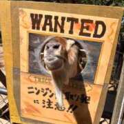 ヒメ日記 2025/09/02 18:11 投稿 あん☆期待度120％清楚系美少女 Ribbon 1st