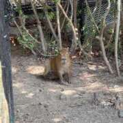 ヒメ日記 2025/09/19 20:13 投稿 あん☆期待度120％清楚系美少女 Ribbon 1st