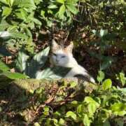 ヒメ日記 2025/12/13 16:03 投稿 あん☆期待度120％清楚系美少女 Ribbon 1st