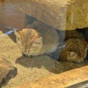 ヒメ日記 2026/01/08 19:53 投稿 あん☆期待度120％清楚系美少女 Ribbon 1st