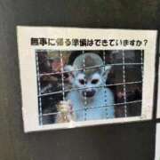 ヒメ日記 2026/01/12 16:13 投稿 あん☆期待度120％清楚系美少女 Ribbon 1st