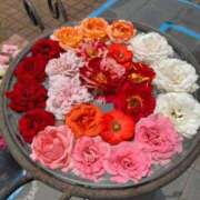 ヒメ日記 2026/01/17 12:03 投稿 あん☆期待度120％清楚系美少女 Ribbon 1st