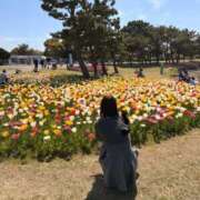 ヒメ日記 2026/04/10 19:03 投稿 あん☆期待度120％清楚系美少女 Ribbon 1st