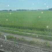 ヒメ日記 2025/02/10 22:14 投稿 みる マリン宮殿水戸店