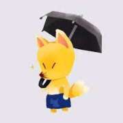 ヒメ日記 2025/02/22 23:54 投稿 みる マリン宮殿水戸店