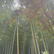 ヒメ日記 2025/04/14 12:24 投稿 みる マリン宮殿水戸店