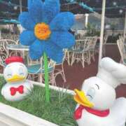 ヒメ日記 2025/05/06 11:33 投稿 みる マリン宮殿水戸店