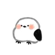 ヒメ日記 2025/12/14 19:14 投稿 みる マリン宮殿水戸店