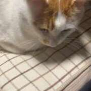 ヒメ日記 2025/04/04 00:59 投稿 葵（あおい） 熟女の風俗最終章 大宮店