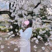 ヒメ日記 2025/04/16 10:17 投稿 Kurumi LUXURY（ラグジュアリー）