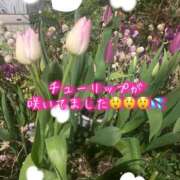 ヒメ日記 2024/12/17 23:54 投稿 爛(らん) 人妻城 横浜本店