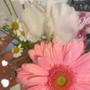 ヒメ日記 2025/03/05 07:11 投稿 爛(らん) 人妻城 横浜本店