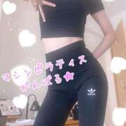 ヒメ日記 2025/03/08 12:05 投稿 爛(らん) 人妻城 横浜本店