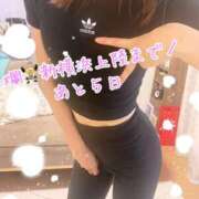 ヒメ日記 2025/03/15 10:57 投稿 爛(らん) 人妻城 横浜本店