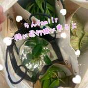 ヒメ日記 2025/03/17 21:40 投稿 爛(らん) 人妻城 横浜本店