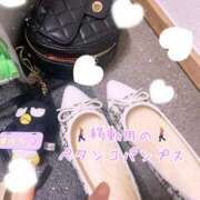 ヒメ日記 2025/03/20 20:57 投稿 爛(らん) 人妻城 横浜本店