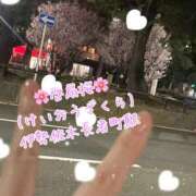 ヒメ日記 2025/03/24 00:54 投稿 爛(らん) 人妻城 横浜本店