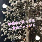 ヒメ日記 2025/03/24 23:42 投稿 爛(らん) 人妻城 横浜本店