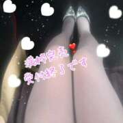 ヒメ日記 2025/03/29 13:58 投稿 爛(らん) 人妻城 横浜本店