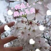 ヒメ日記 2025/04/07 14:57 投稿 爛(らん) 人妻城 横浜本店