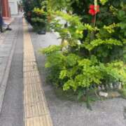 ヒメ日記 2025/05/13 16:19 投稿 爛(らん) 人妻城 横浜本店