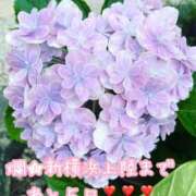 ヒメ日記 2025/06/19 11:57 投稿 爛(らん) 人妻城 横浜本店