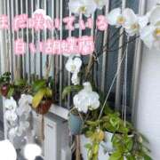 ヒメ日記 2025/07/14 09:07 投稿 爛(らん) 人妻城 横浜本店