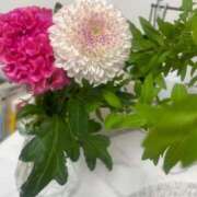 ヒメ日記 2025/08/15 09:39 投稿 爛(らん) 人妻城 横浜本店