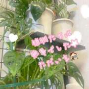 ヒメ日記 2025/08/20 21:53 投稿 爛(らん) 人妻城 横浜本店