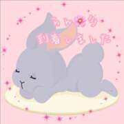 ヒメ日記 2025/09/17 15:24 投稿 爛(らん) 人妻城 横浜本店