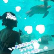 ヒメ日記 2025/10/13 13:30 投稿 爛(らん) 人妻城 横浜本店