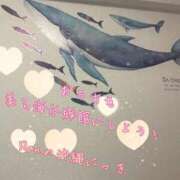 ヒメ日記 2025/11/13 08:26 投稿 爛(らん) 人妻城 横浜本店