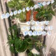 ヒメ日記 2025/11/17 23:34 投稿 爛(らん) 人妻城 横浜本店