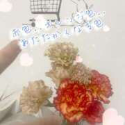 ヒメ日記 2025/11/23 10:57 投稿 爛(らん) 人妻城 横浜本店