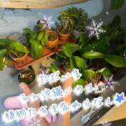 ヒメ日記 2025/12/03 21:11 投稿 爛(らん) 人妻城 横浜本店