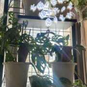 爛(らん) 🌺太陽の光送るね🌺 人妻城 横浜本店