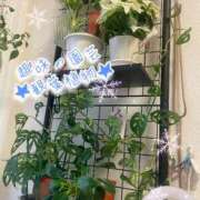 ヒメ日記 2025/12/09 08:21 投稿 爛(らん) 人妻城 横浜本店