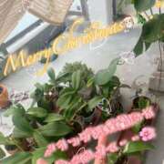 ヒメ日記 2025/12/24 11:55 投稿 爛(らん) 人妻城 横浜本店