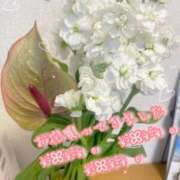 ヒメ日記 2025/12/24 17:04 投稿 爛(らん) 人妻城 横浜本店