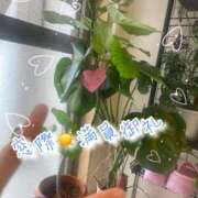 ヒメ日記 2025/12/26 12:59 投稿 爛(らん) 人妻城 横浜本店