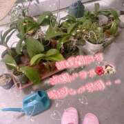 ヒメ日記 2025/12/30 23:37 投稿 爛(らん) 人妻城 横浜本店