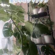 ヒメ日記 2026/01/28 17:31 投稿 爛(らん) 人妻城 横浜本店